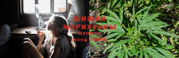 СК Навашино