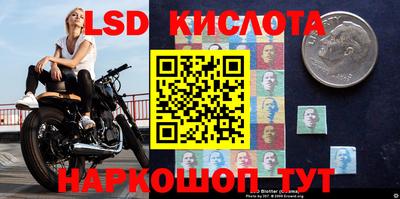 прущие крисы Берёзовский