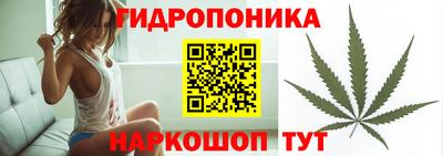 прущие крисы Берёзовский