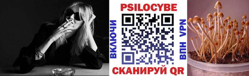 сколько стоит Коммунар Галлюциногенные грибы мухоморы