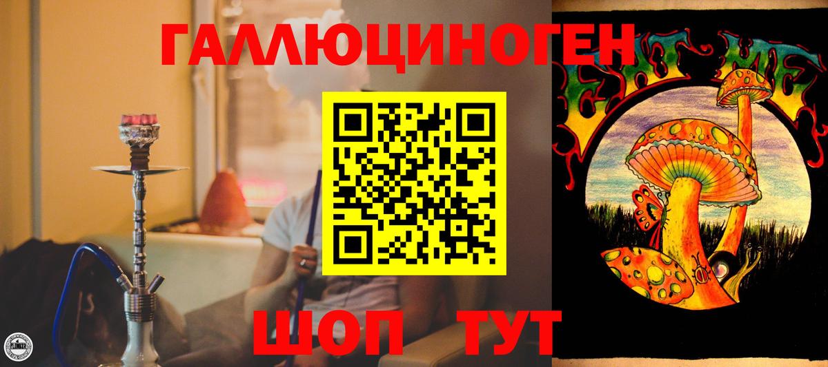 Галлюциногенные грибы Psilocybine cubensis  Коммунар  Галлюциногенные грибы ЛСД 